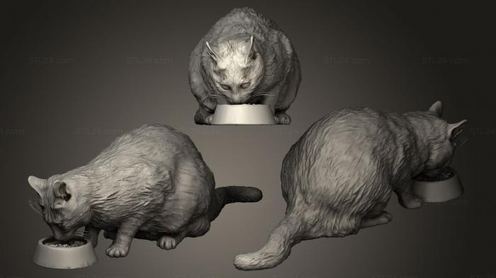 Статуэтки животных (Кошка ест корм 12, STKJ_0186) 3D модель для ЧПУ станка